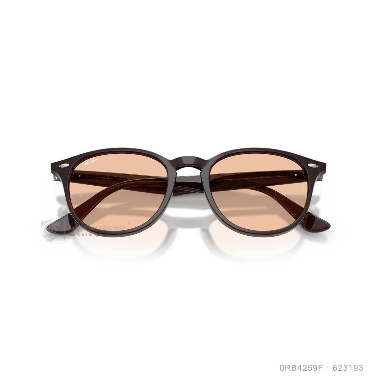 Kính mát Rayban 0RB4259F - Ảnh 23