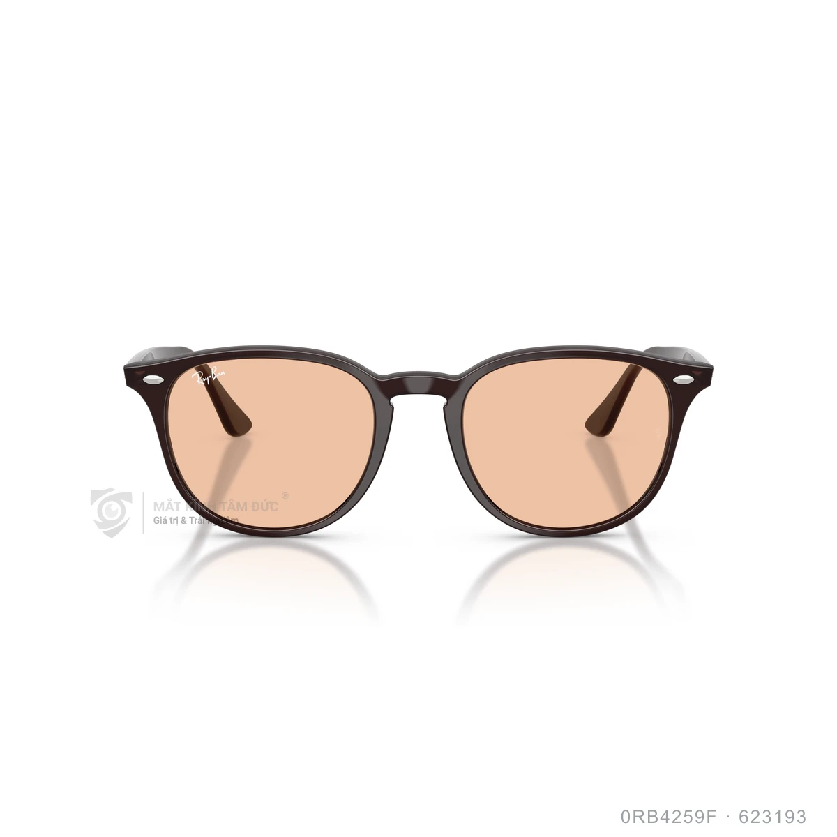 Kính mát Rayban 0RB4259F - Ảnh 21