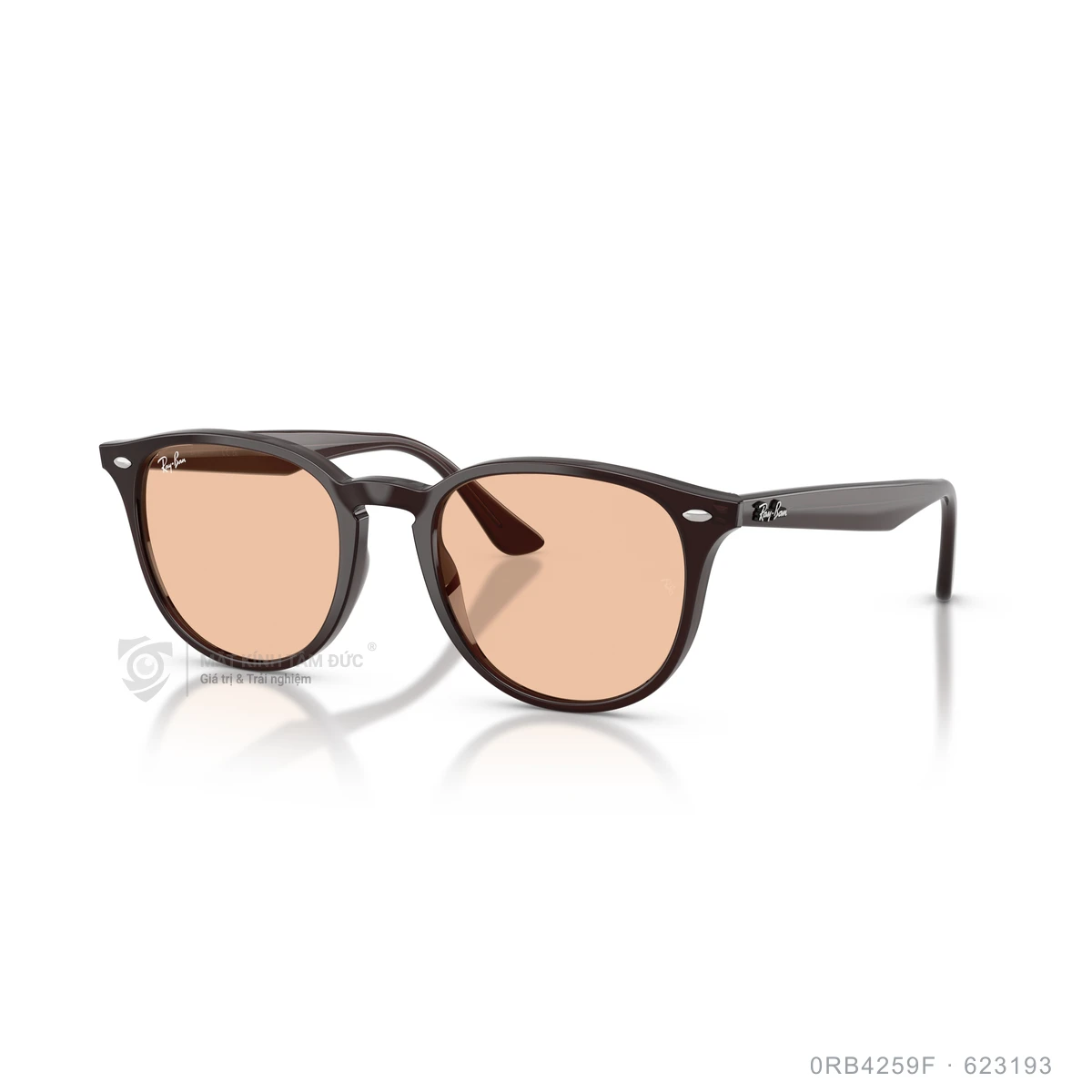Kính mát Rayban 0RB4259F - Ảnh 22