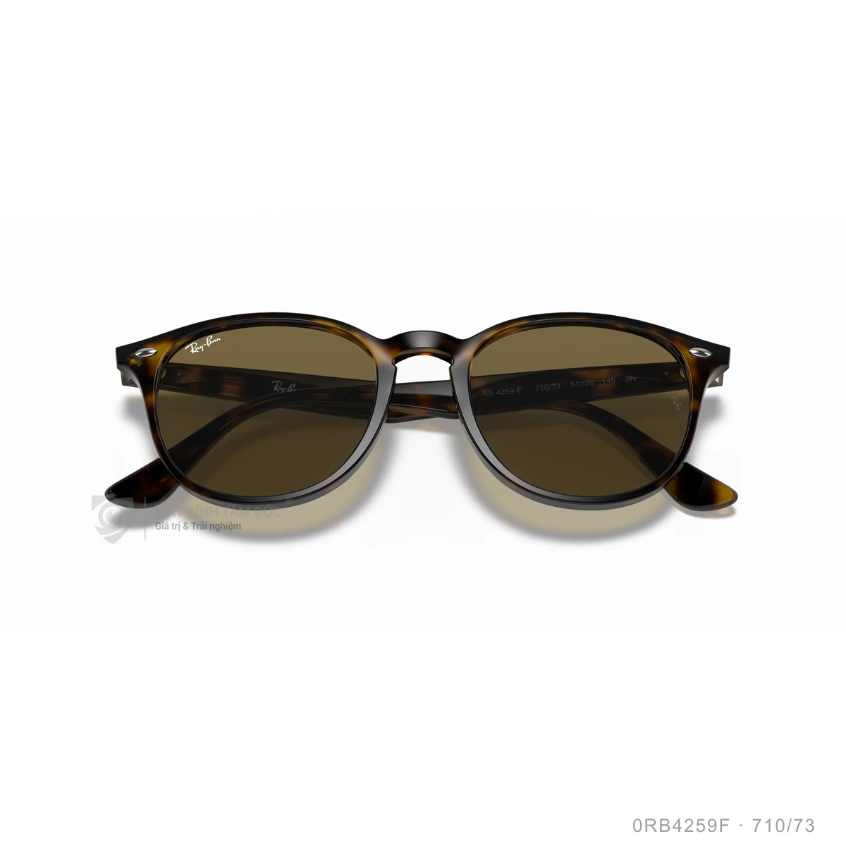 Kính mát Rayban 0RB4259F - Ảnh 53