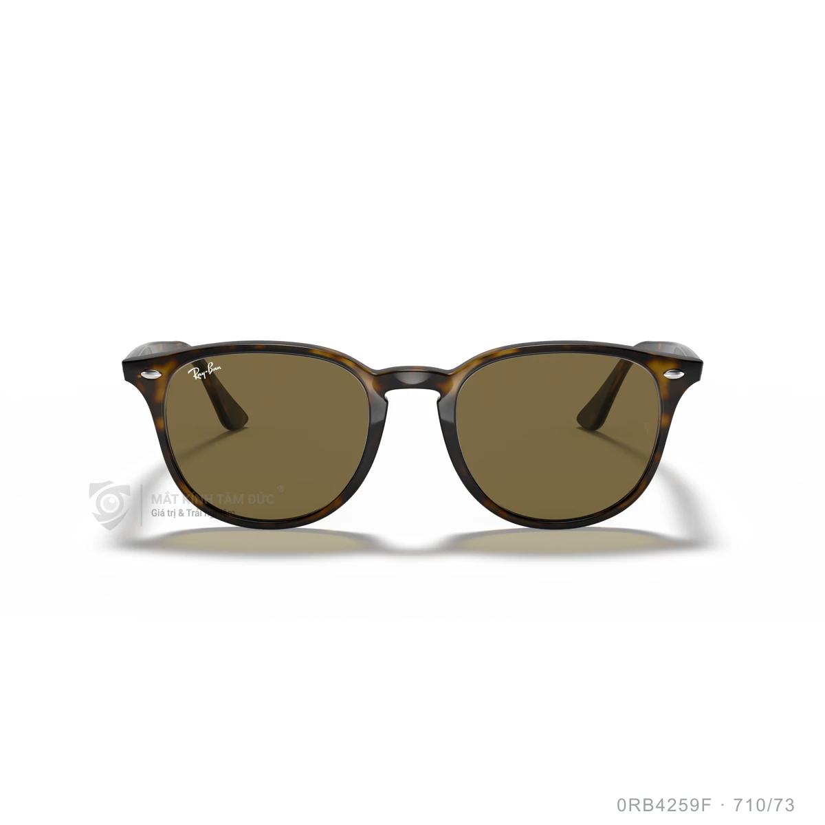 Kính mát Rayban 0RB4259F - Ảnh 51
