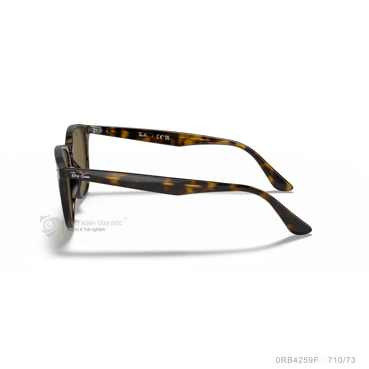 Kính mát Rayban 0RB4259F - Ảnh 54