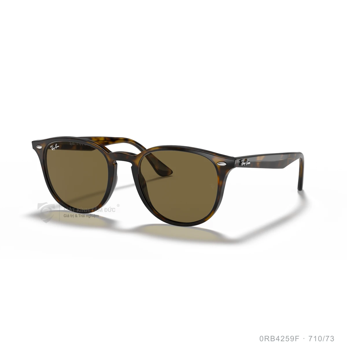 Kính mát Rayban 0RB4259F - Ảnh 52