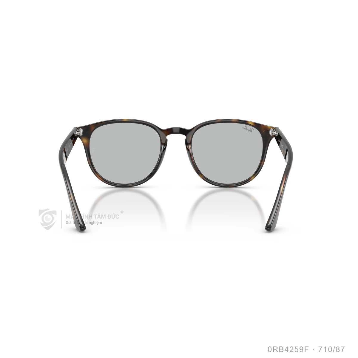 Kính mát Rayban 0RB4259F - Ảnh 30