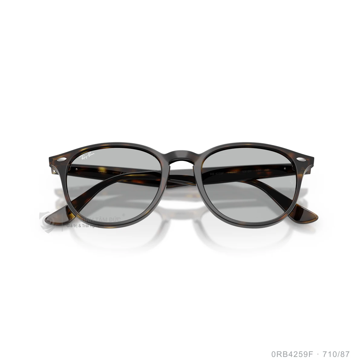 Kính mát Rayban 0RB4259F - Ảnh 28