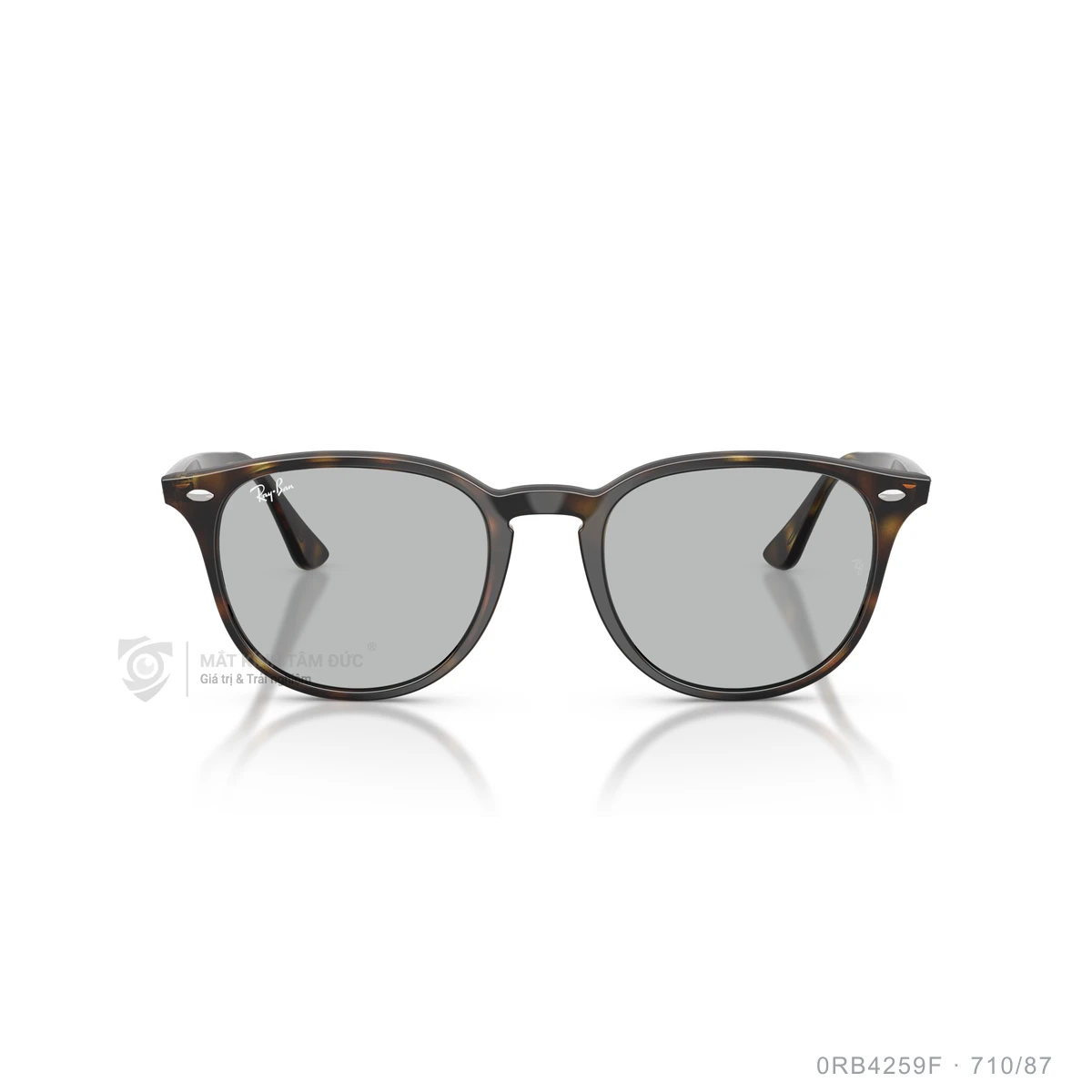 Kính mát Rayban 0RB4259F - Ảnh 26