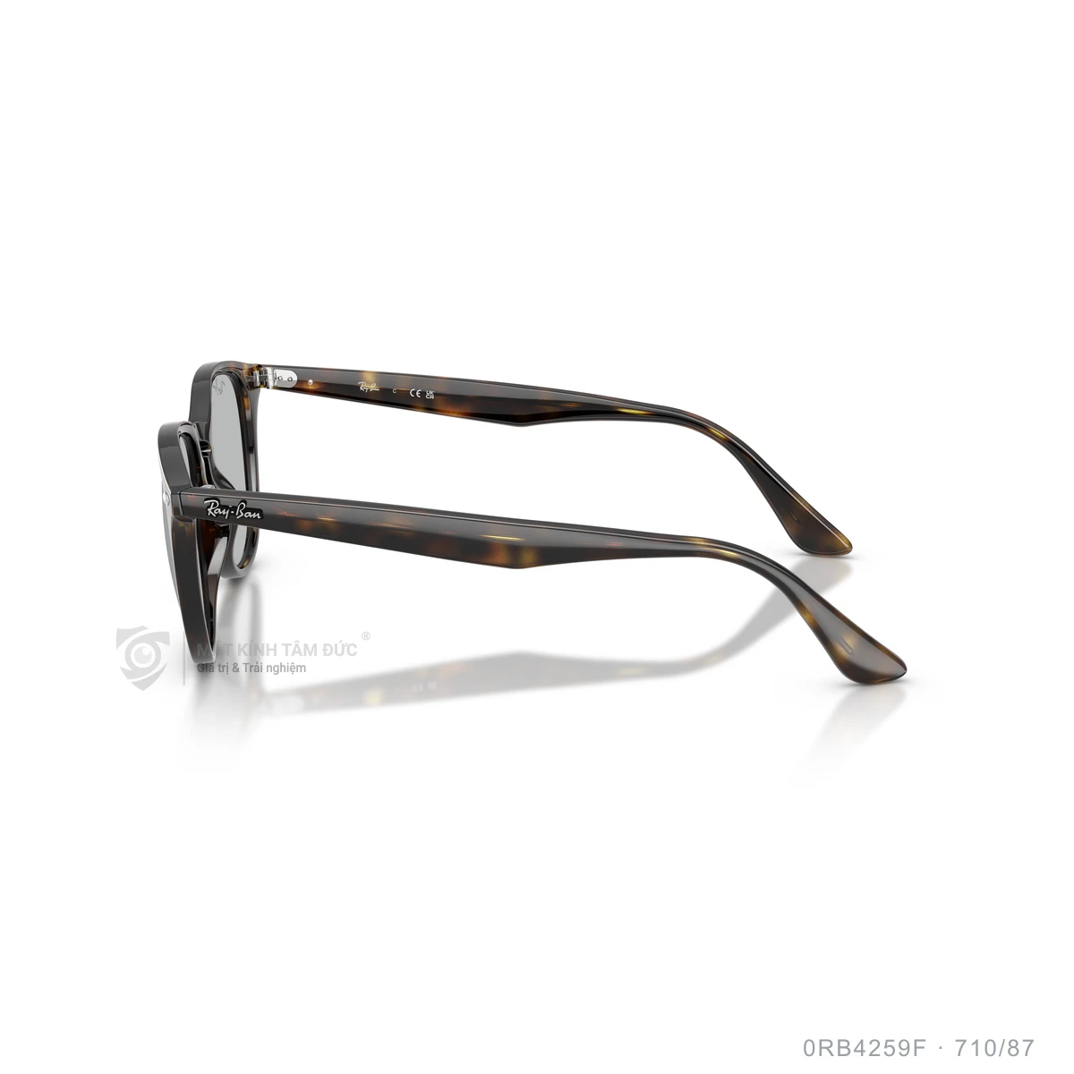 Kính mát Rayban 0RB4259F - Ảnh 29