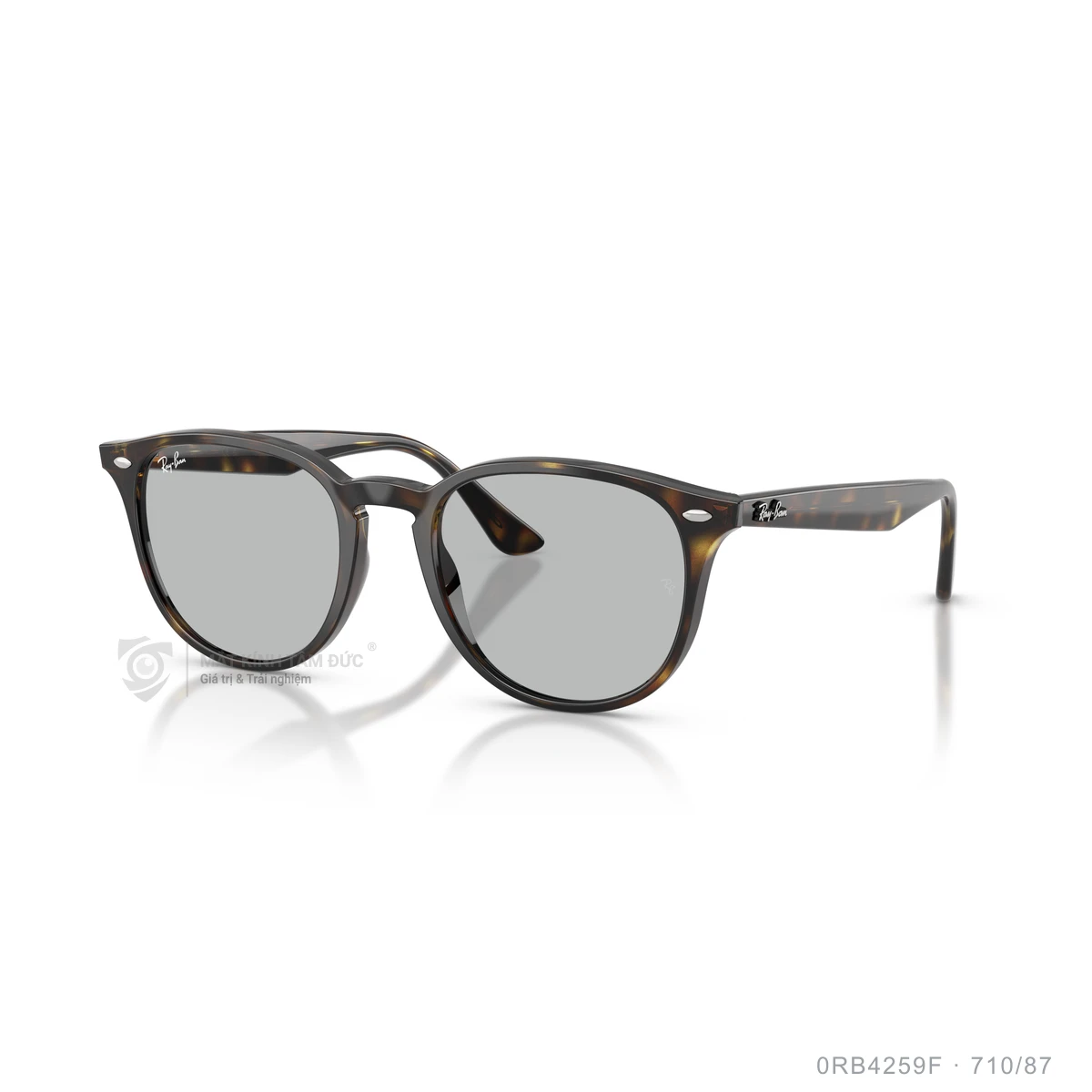 Kính mát Rayban 0RB4259F - Ảnh 27