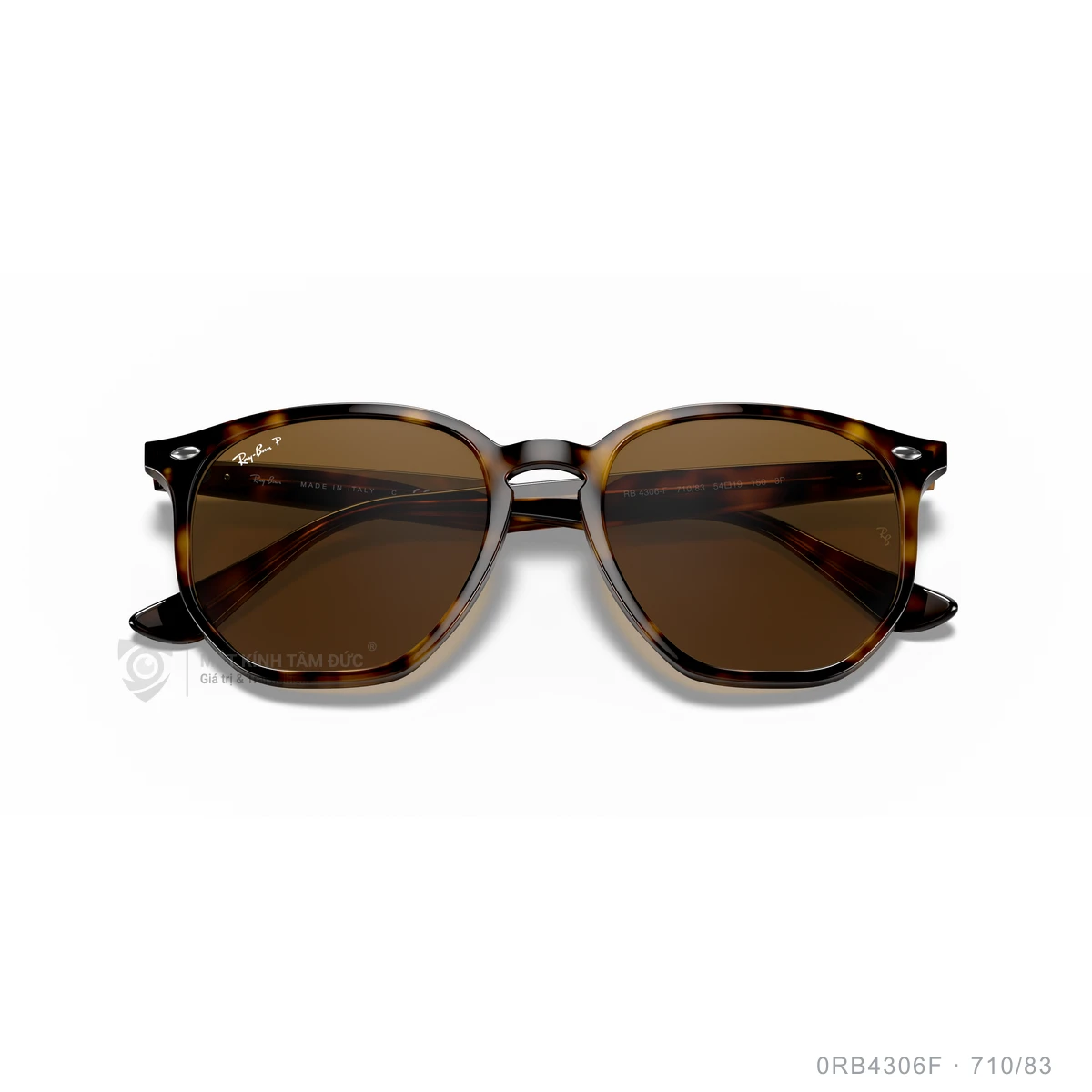Kính mát Rayban 0RB4306F - Ảnh 13
