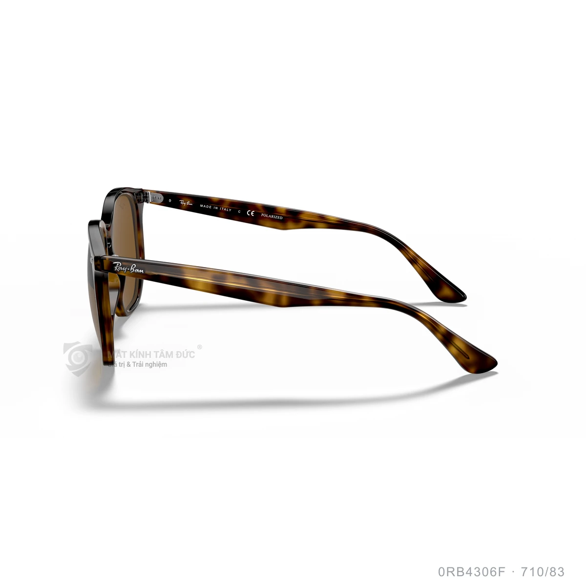 Kính mát Rayban 0RB4306F - Ảnh 14