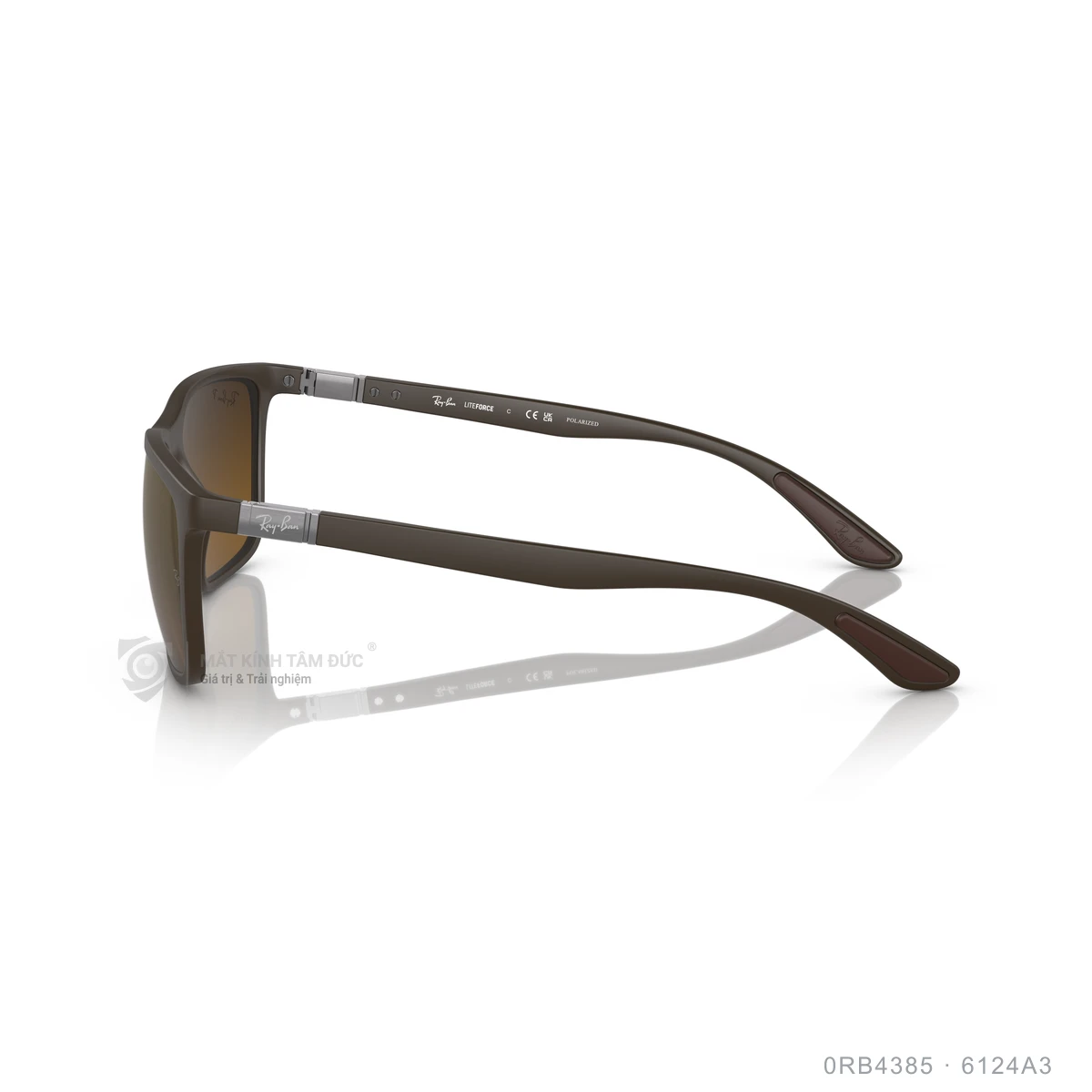 Kính mát Rayban 0RB4385 - Ảnh 14
