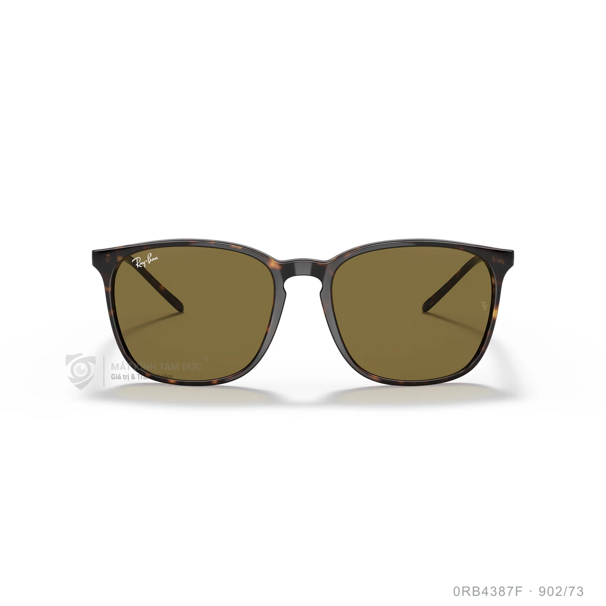 Kính mát Rayban 0RB4387F - Ảnh 6