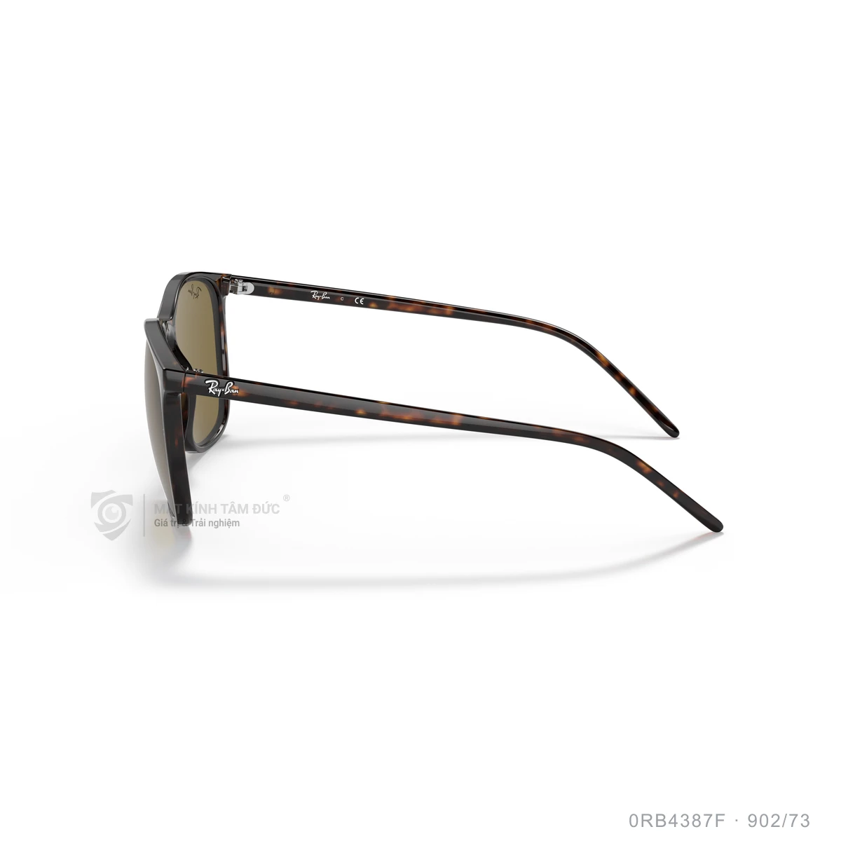 Kính mát Rayban 0RB4387F - Ảnh 9