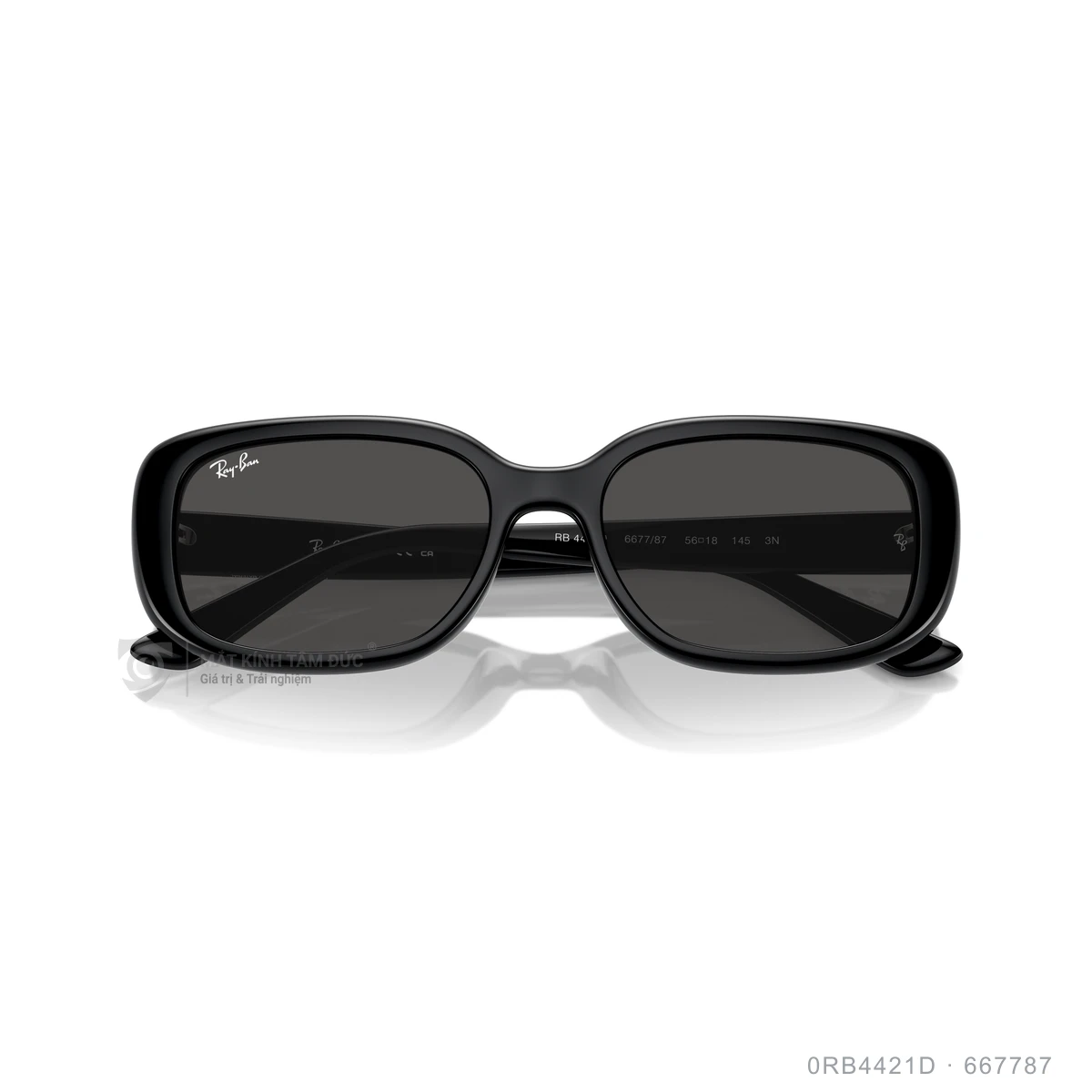 Kính mát Rayban 0RB4421D - Ảnh 3