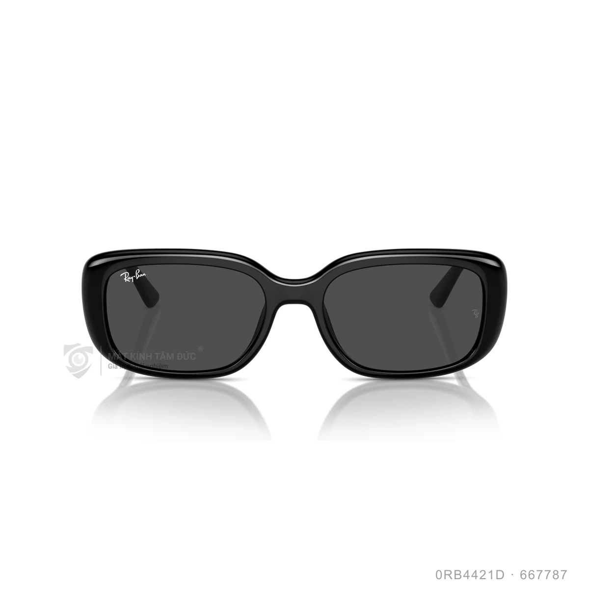 Hình ảnh thực tế Kính mát Rayban 0RB4421D