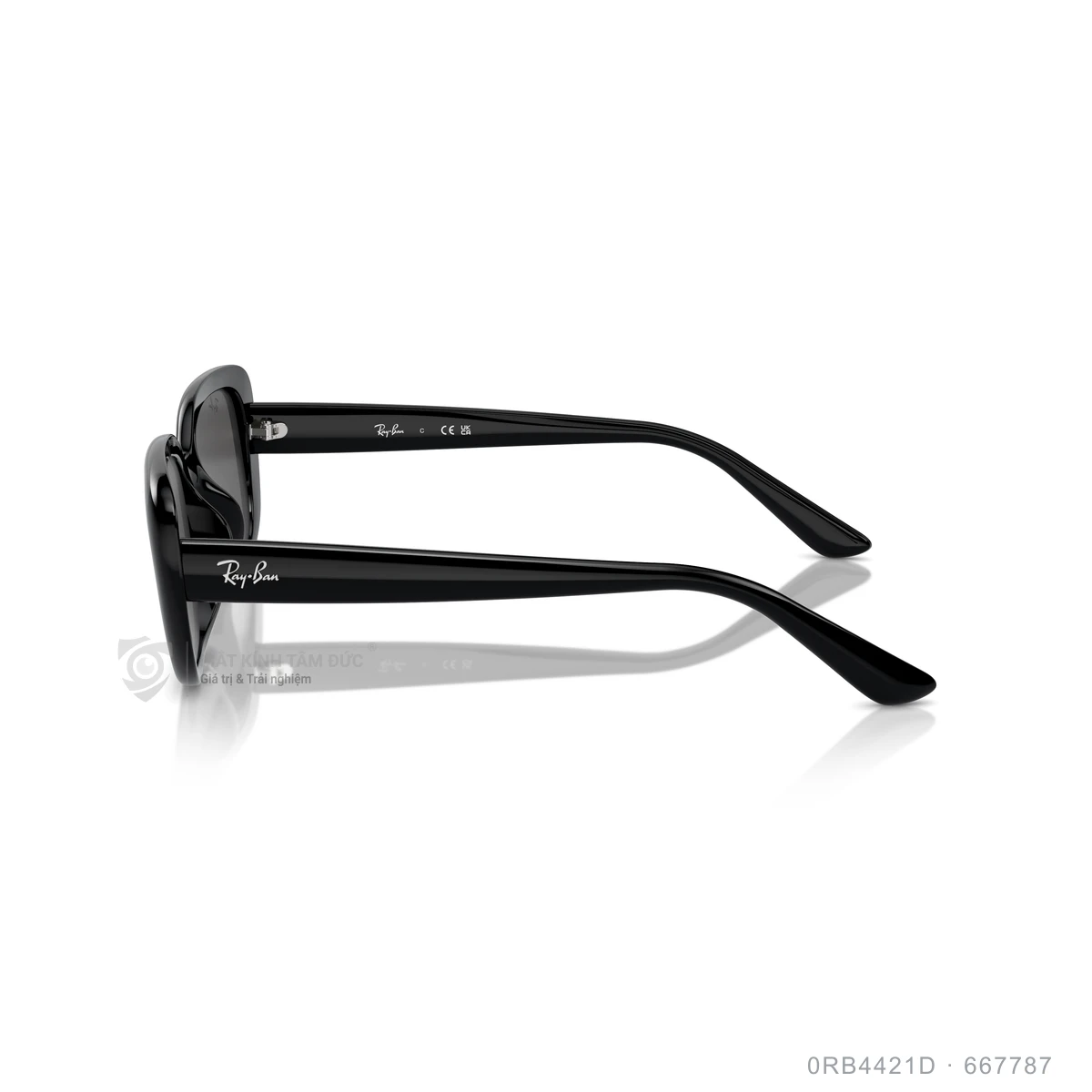 Kính mát Rayban 0RB4421D - Ảnh 4