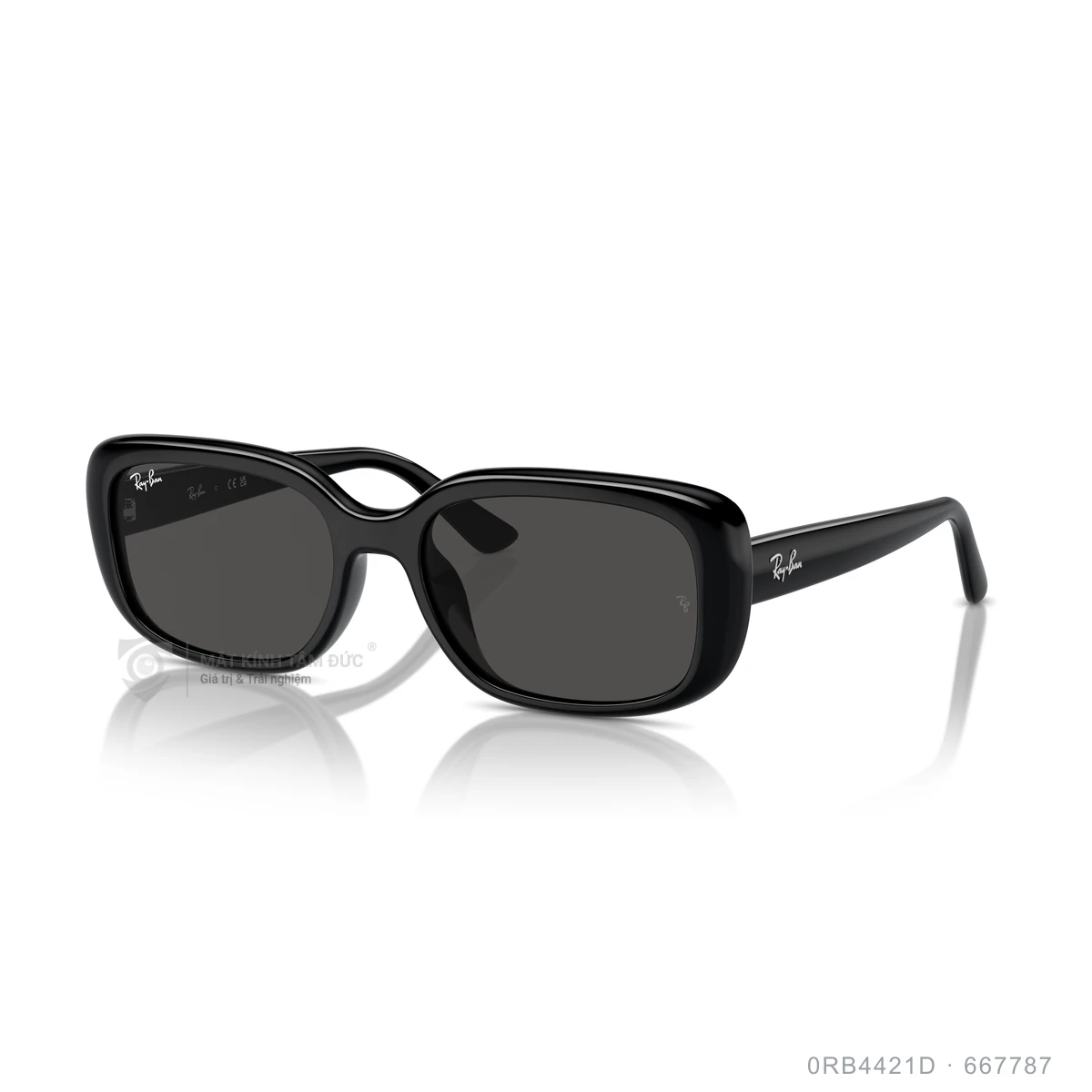 Chi tiết góc nghiêng Kính mát Rayban 0RB4421D