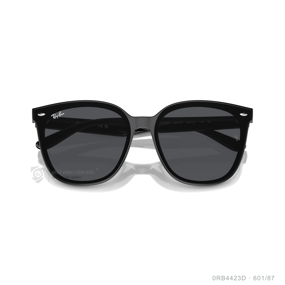 Kính mát Rayban 0RB4423D - Ảnh 3