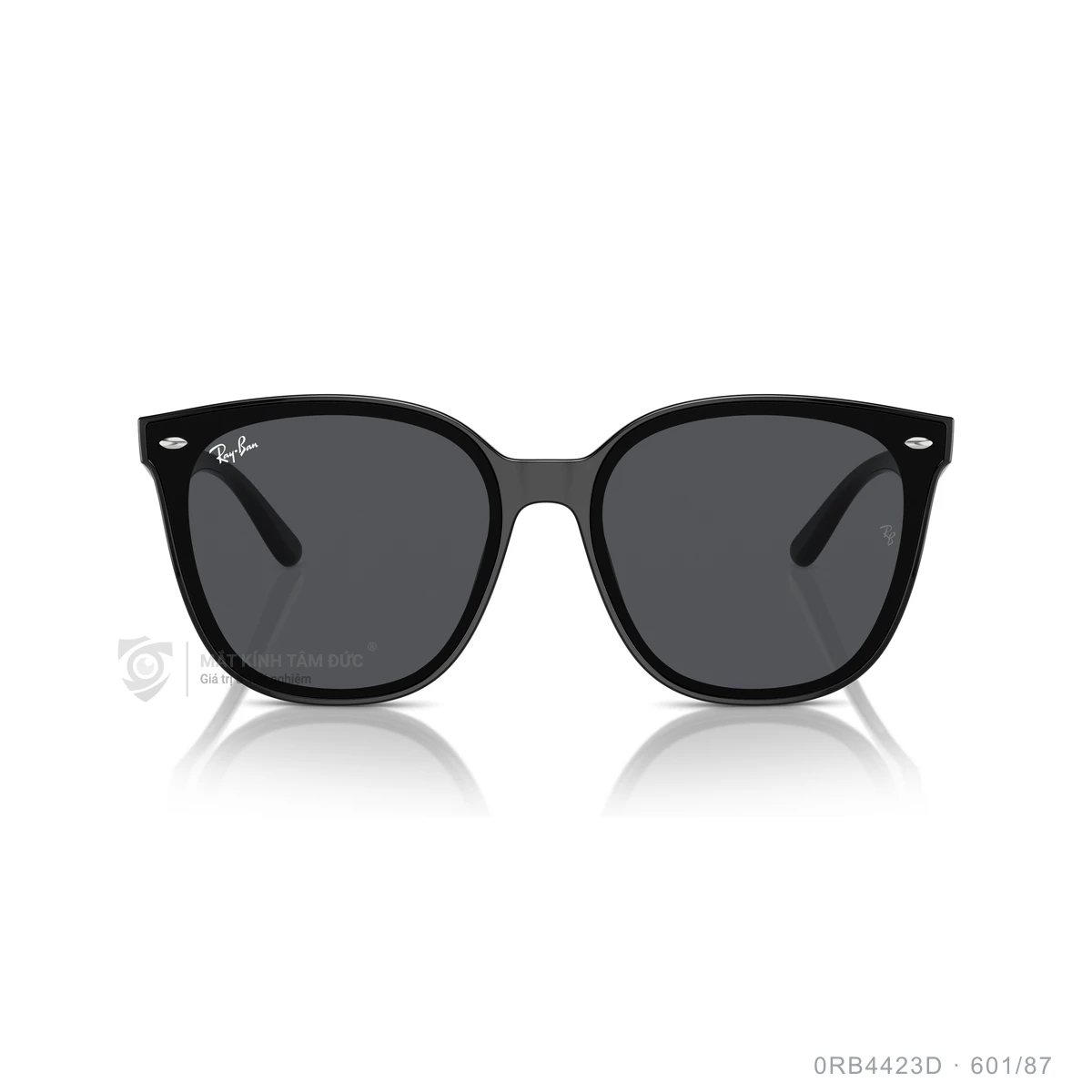 Hình ảnh thực tế Kính mát Rayban 0RB4423D