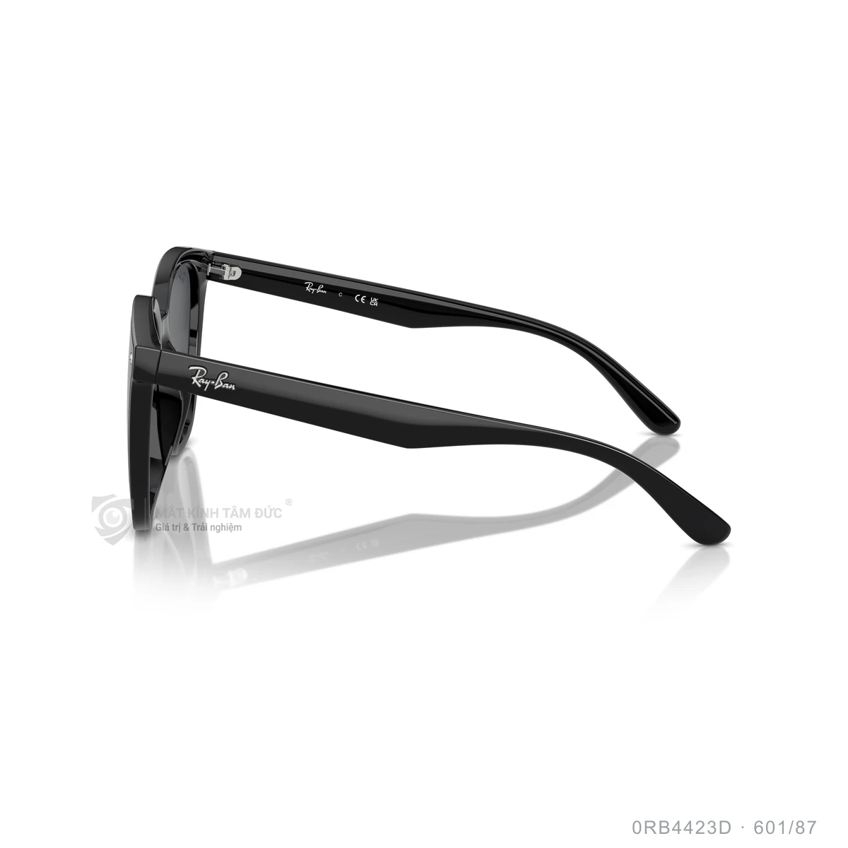 Kính mát Rayban 0RB4423D - Ảnh 4