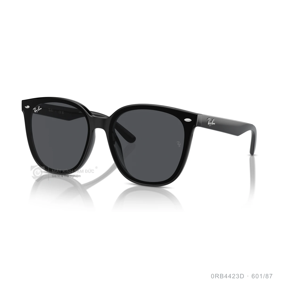Chi tiết góc nghiêng Kính mát Rayban 0RB4423D