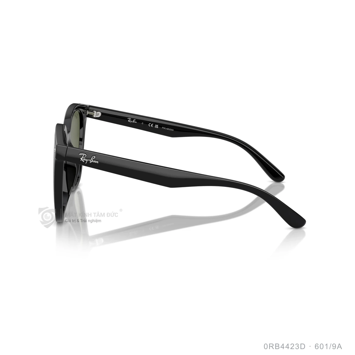 Kính mát Rayban 0RB4423D - Ảnh 9