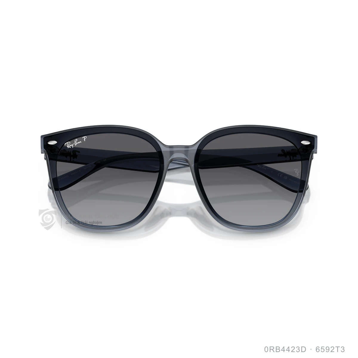 Kính mát Rayban 0RB4423D - Ảnh 13