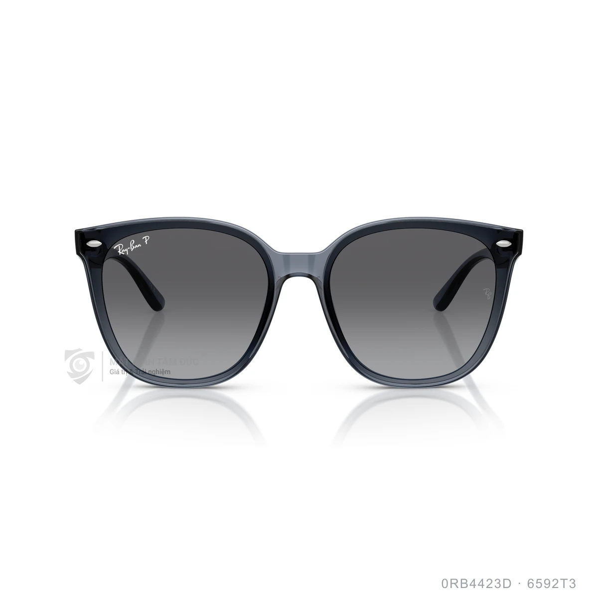 Kính mát Rayban 0RB4423D - Ảnh 11