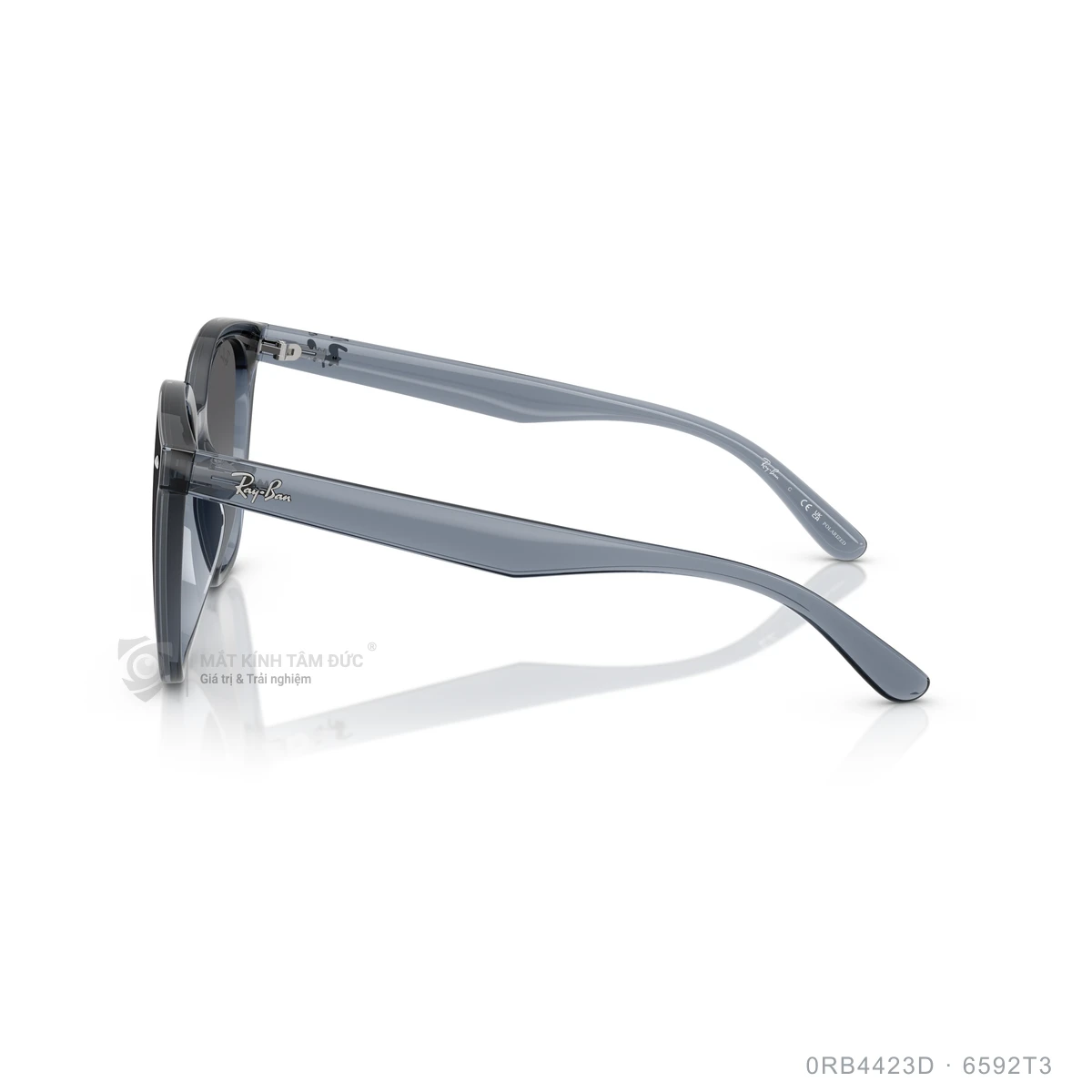 Kính mát Rayban 0RB4423D - Ảnh 14