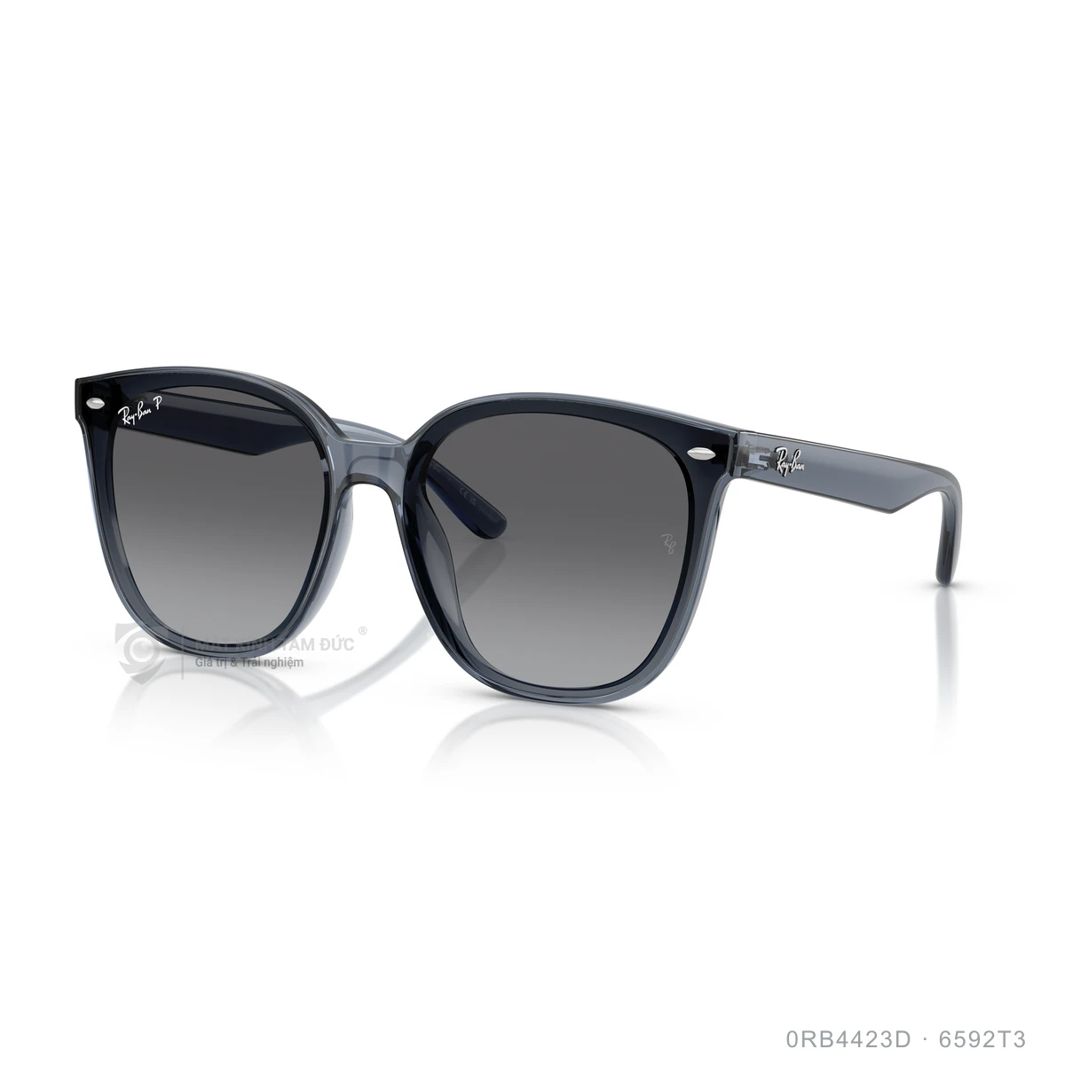 Kính mát Rayban 0RB4423D - Ảnh 12