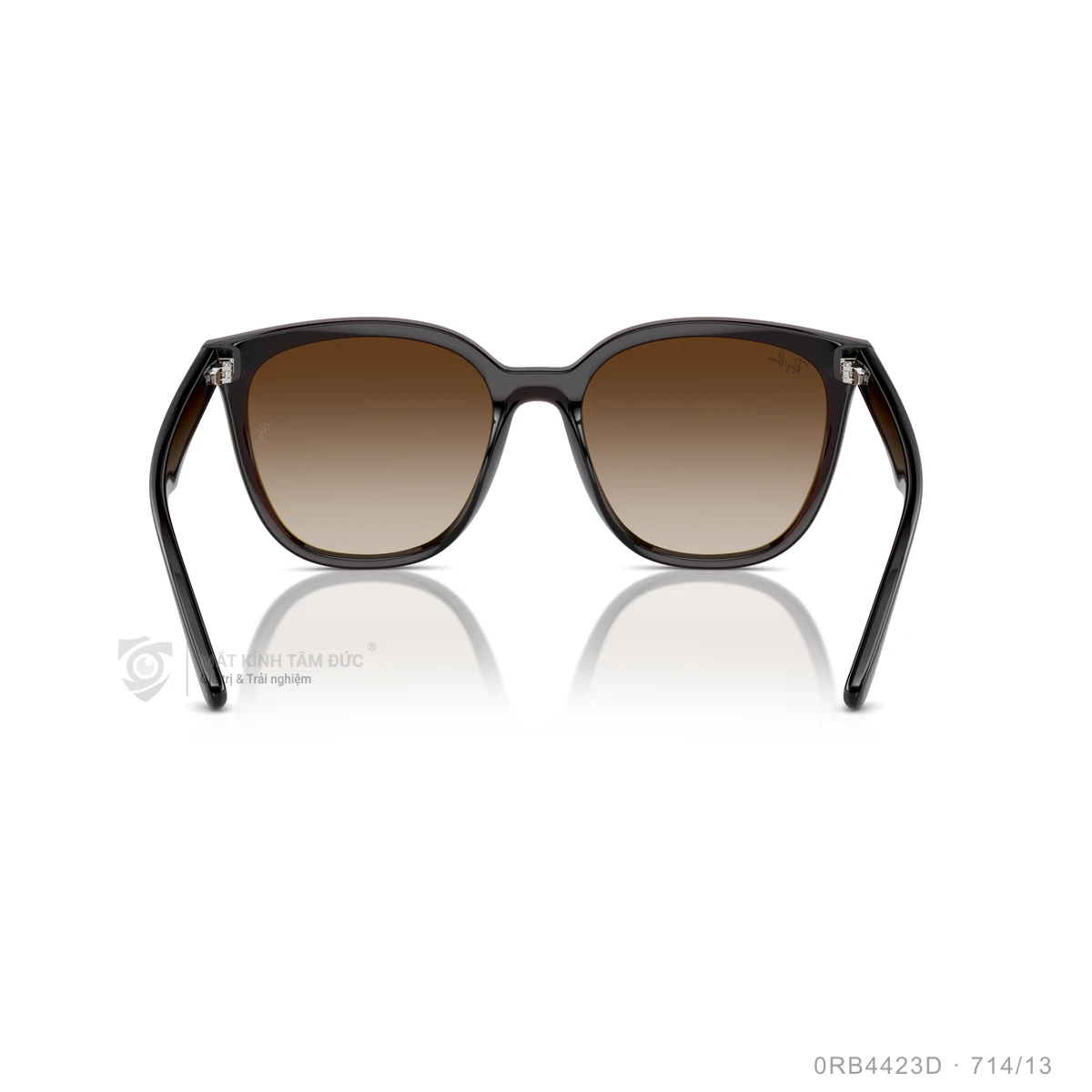 Kính mát Rayban 0RB4423D - Ảnh 20