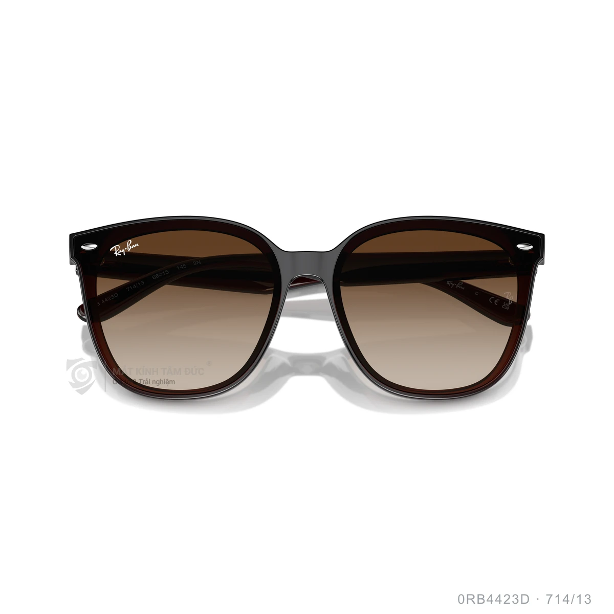 Kính mát Rayban 0RB4423D - Ảnh 18