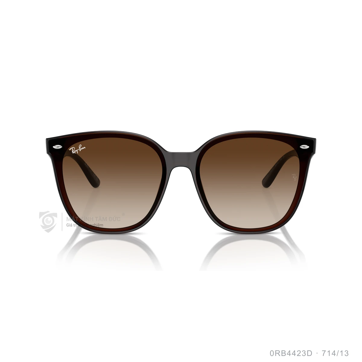 Kính mát Rayban 0RB4423D - Ảnh 16