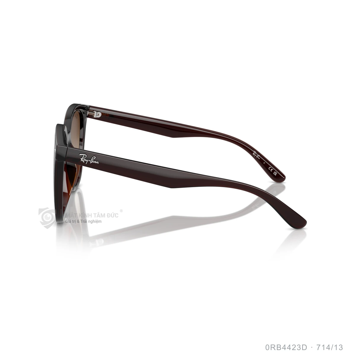 Kính mát Rayban 0RB4423D - Ảnh 19