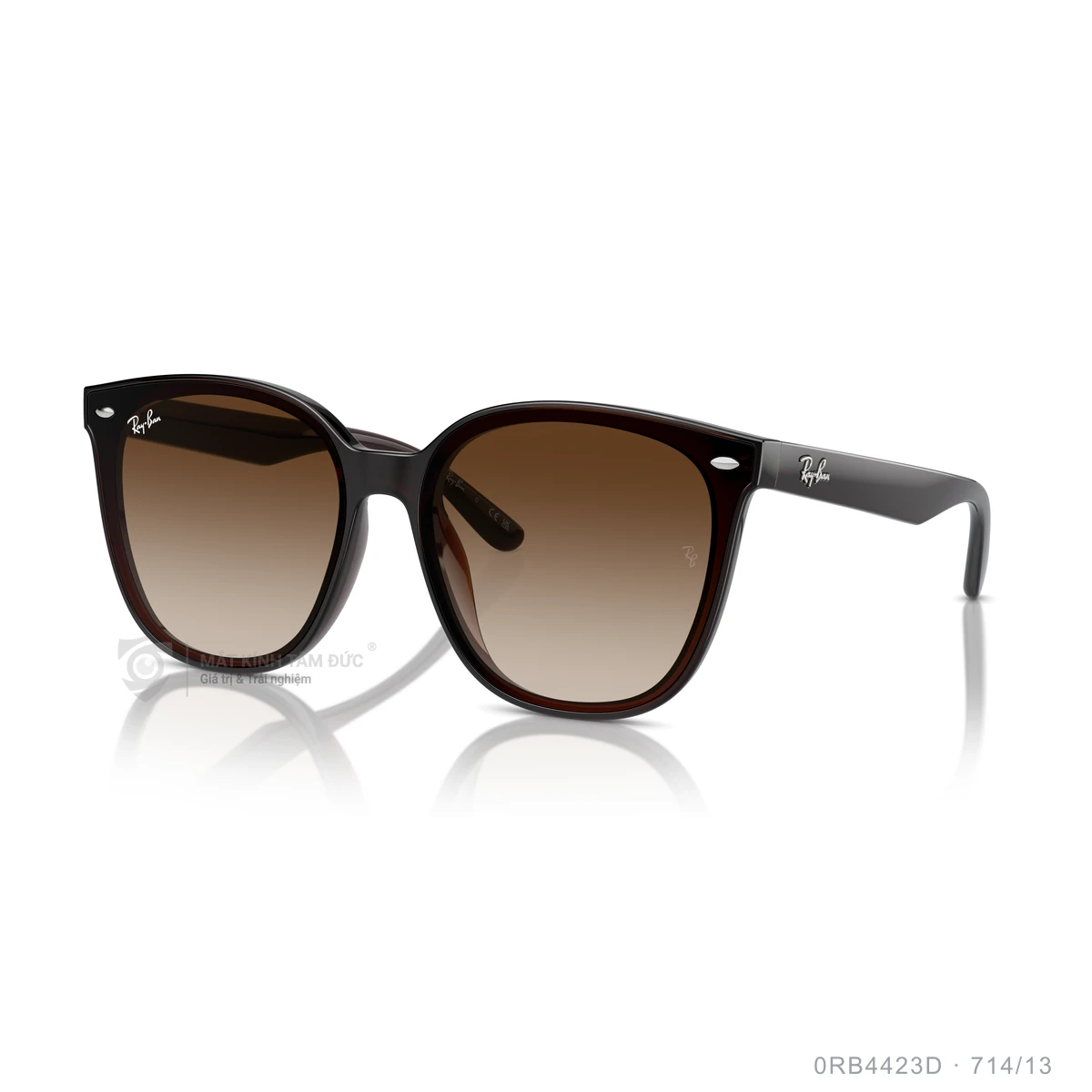 Kính mát Rayban 0RB4423D - Ảnh 17