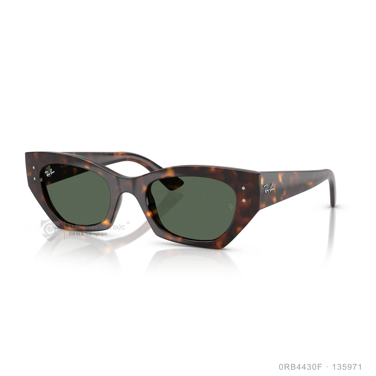 Chi tiết góc nghiêng Kính mát Rayban 0RB4430F