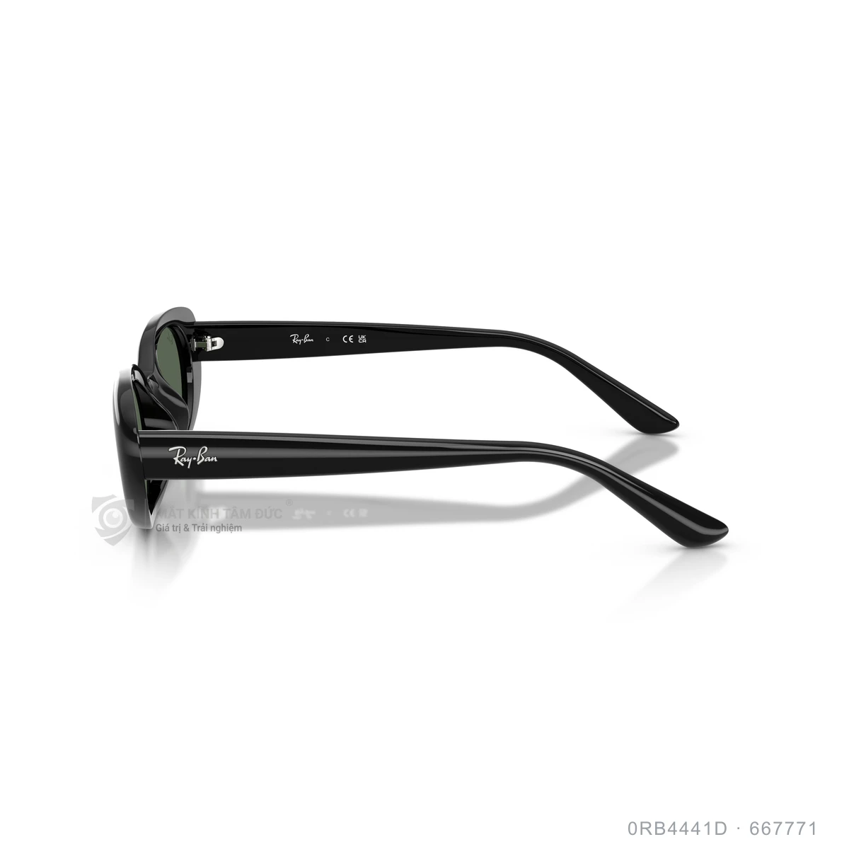Kính mát Rayban 0RB4441D - Ảnh 19