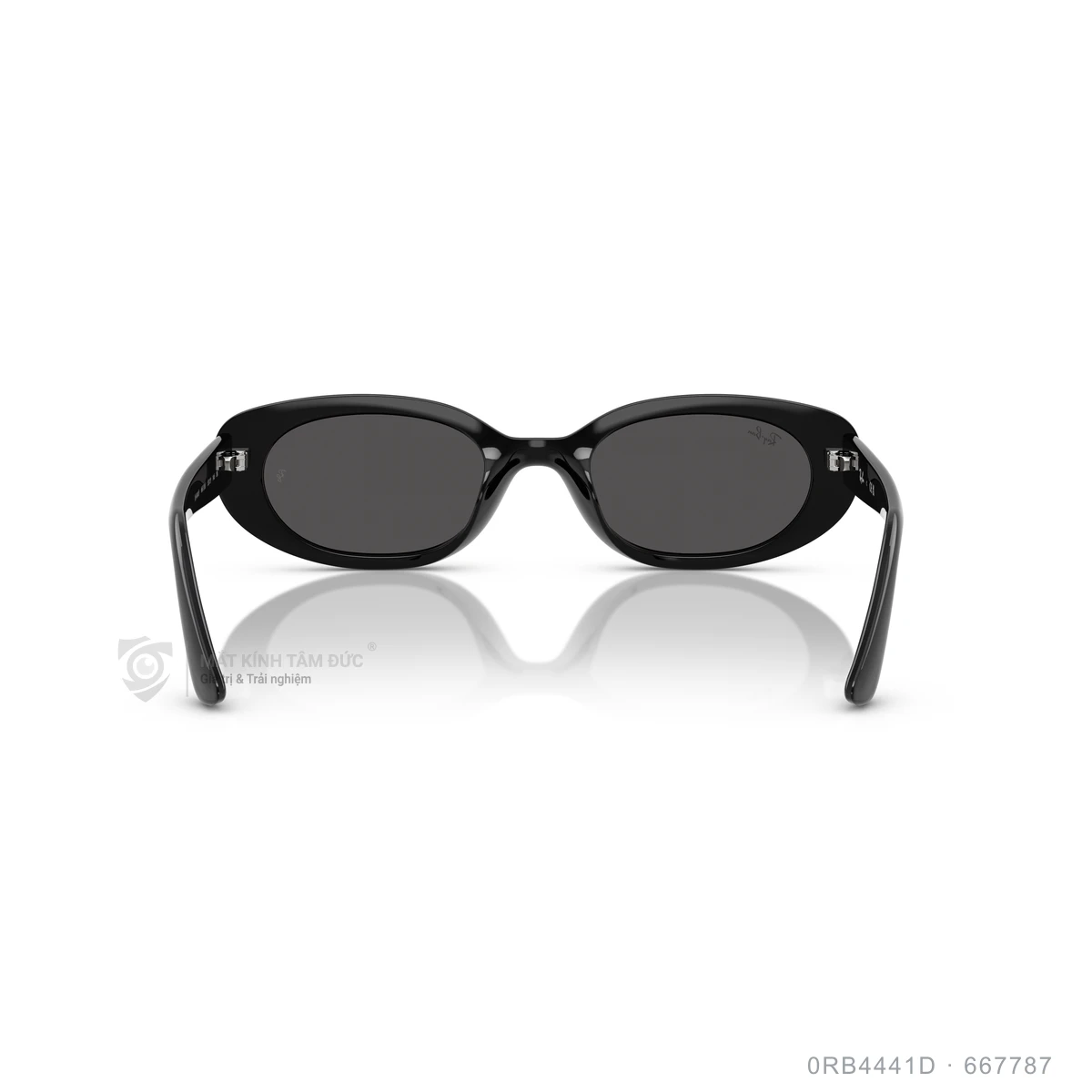 Kính mát Rayban 0RB4441D - Ảnh 25