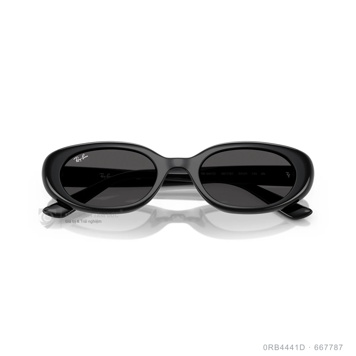 Kính mát Rayban 0RB4441D - Ảnh 23