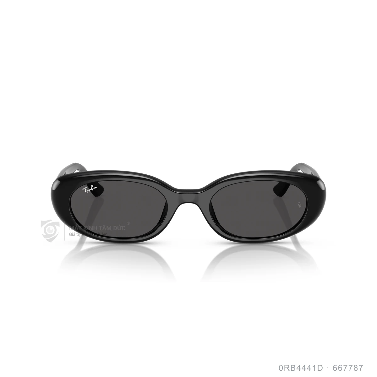 Kính mát Rayban 0RB4441D - Ảnh 21