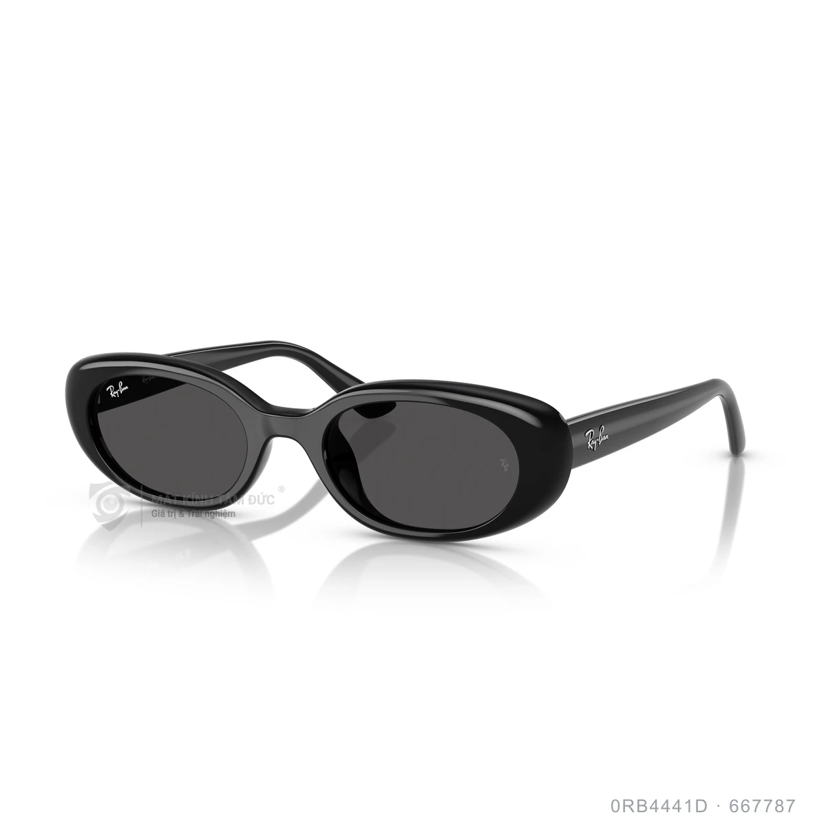 Kính mát Rayban 0RB4441D - Ảnh 22
