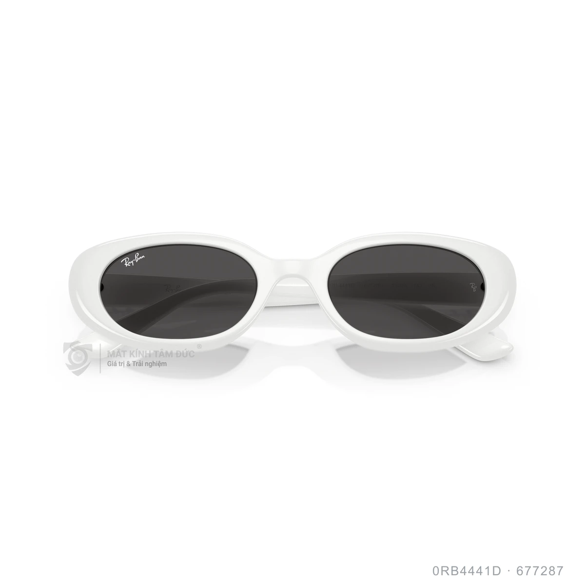 Kính mát Rayban 0RB4441D - Ảnh 3
