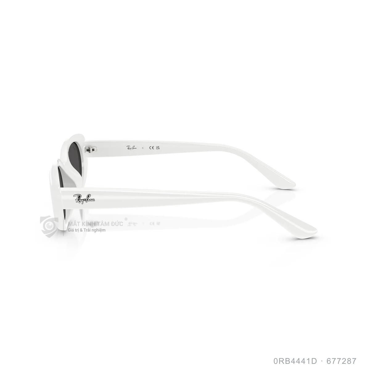 Kính mát Rayban 0RB4441D - Ảnh 4