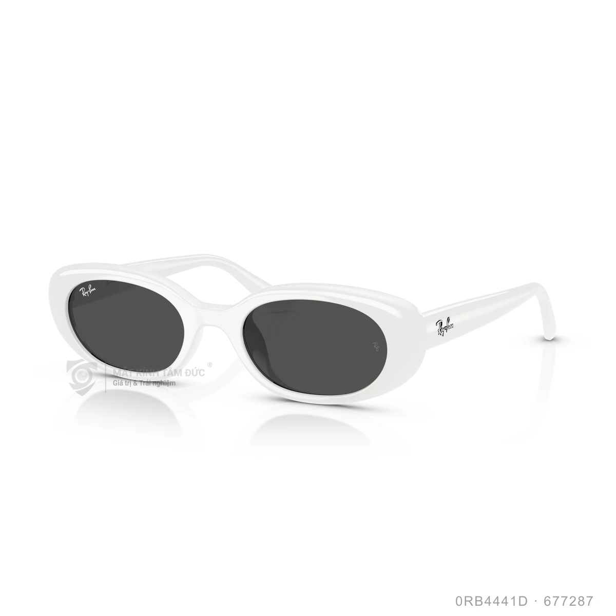 Chi tiết góc nghiêng Kính mát Rayban 0RB4441D