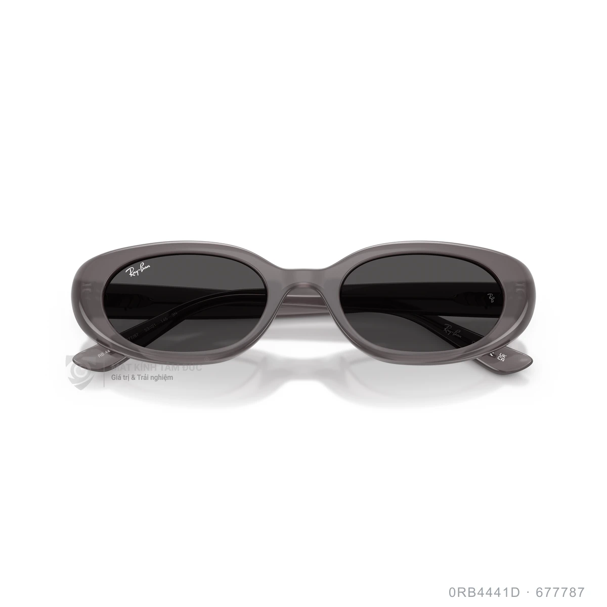 Kính mát Rayban 0RB4441D - Ảnh 28