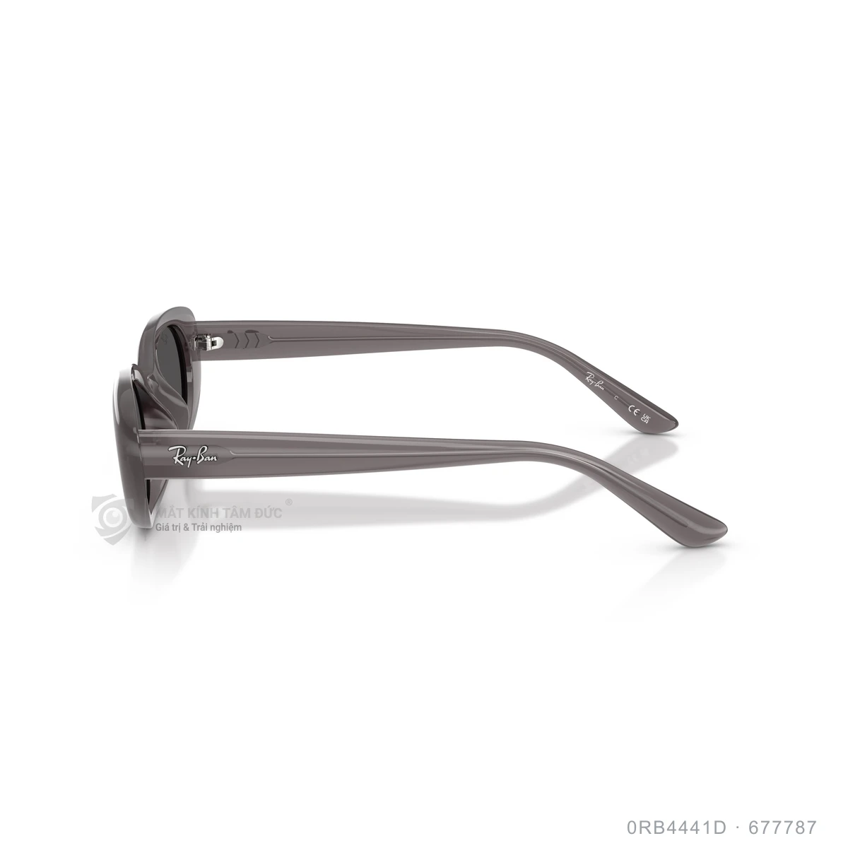 Kính mát Rayban 0RB4441D - Ảnh 29