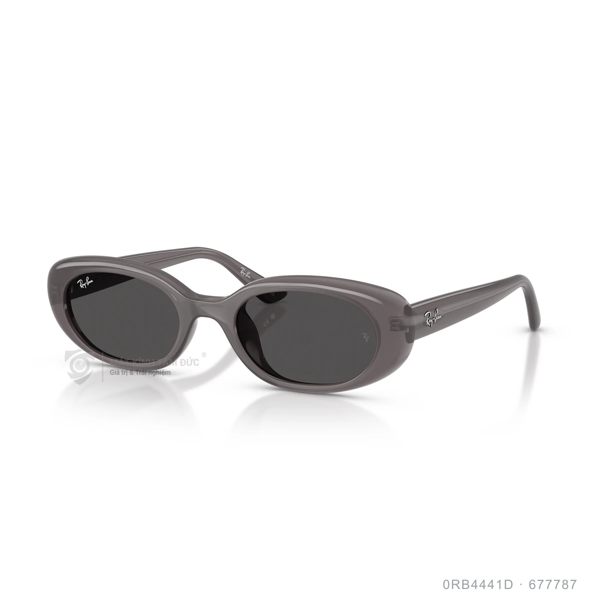 Kính mát Rayban 0RB4441D - Ảnh 27