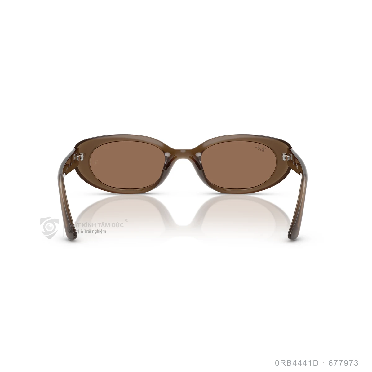 Kính mát Rayban 0RB4441D - Ảnh 35