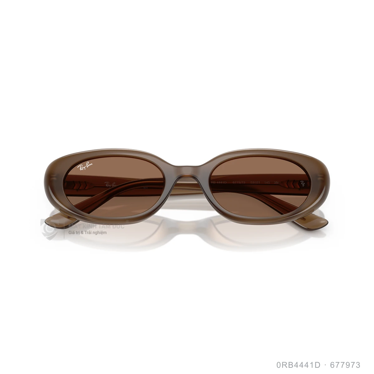 Kính mát Rayban 0RB4441D - Ảnh 33