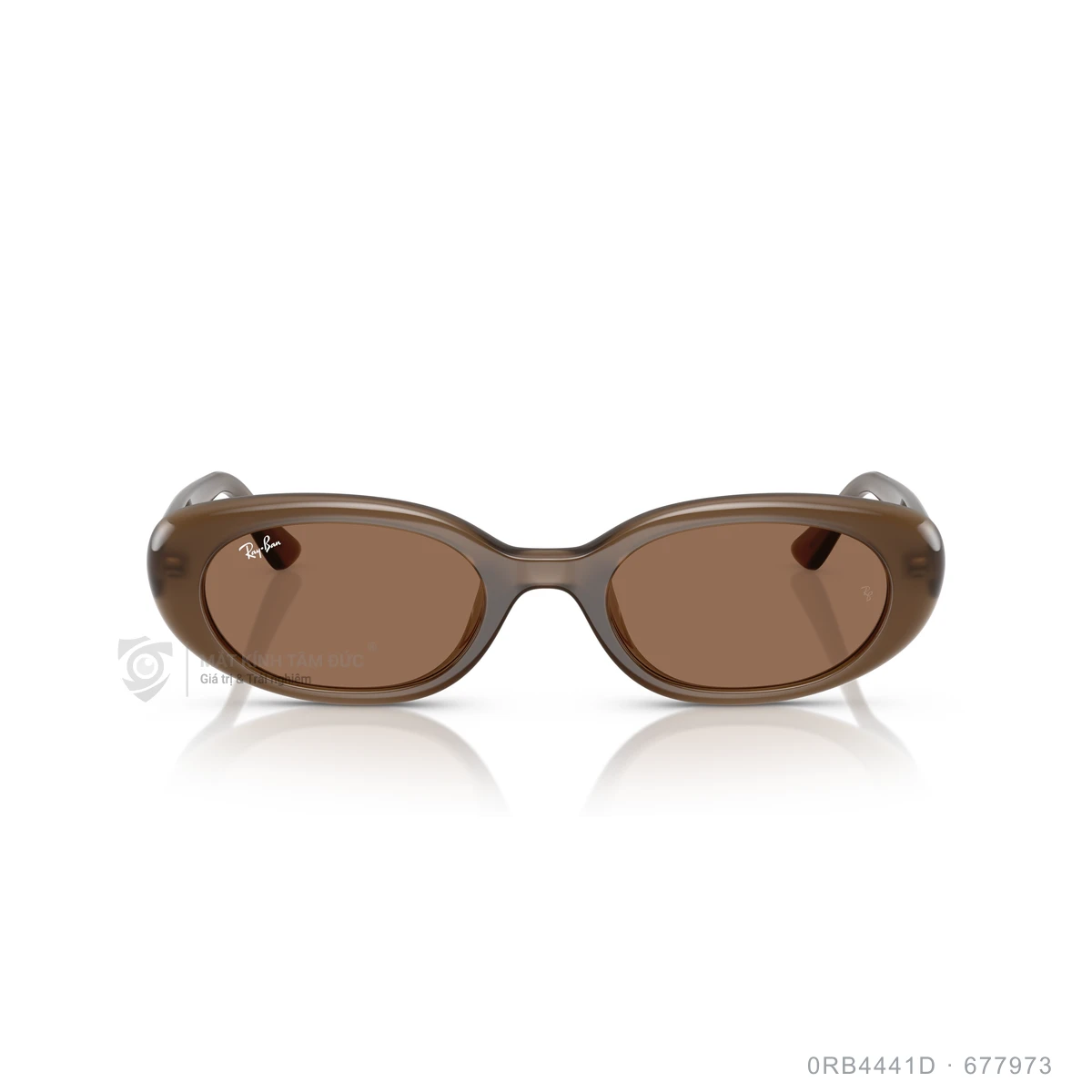 Kính mát Rayban 0RB4441D - Ảnh 31